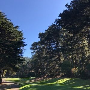 Meet your Posher, Rosemary